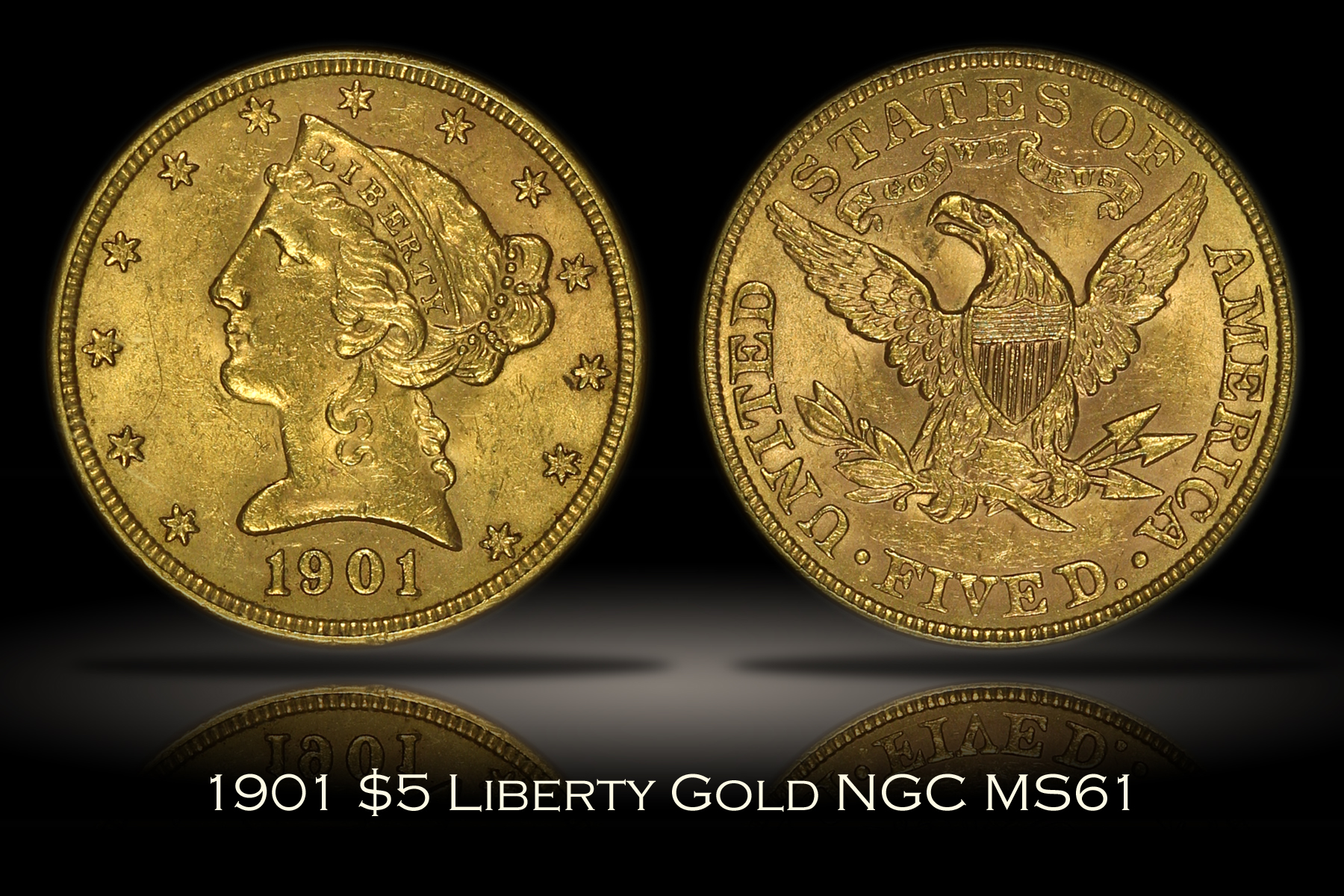 Michael Kittle Rare Coins - 1901 $5 Liberty Gold NGC MS61