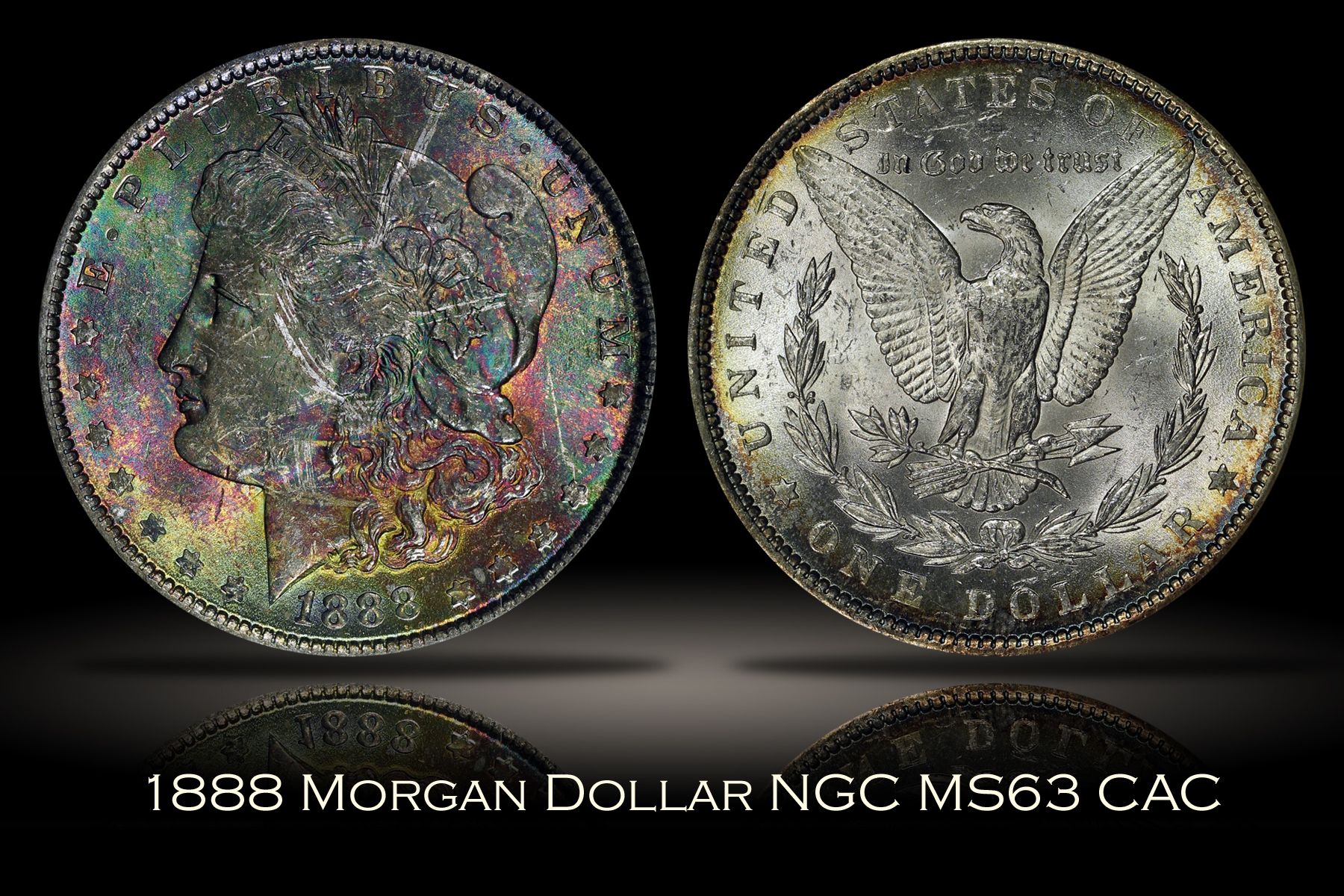 Michael Kittle Rare Coins - 1888 Morgan Dollar NGC MS63 VAM-11A
