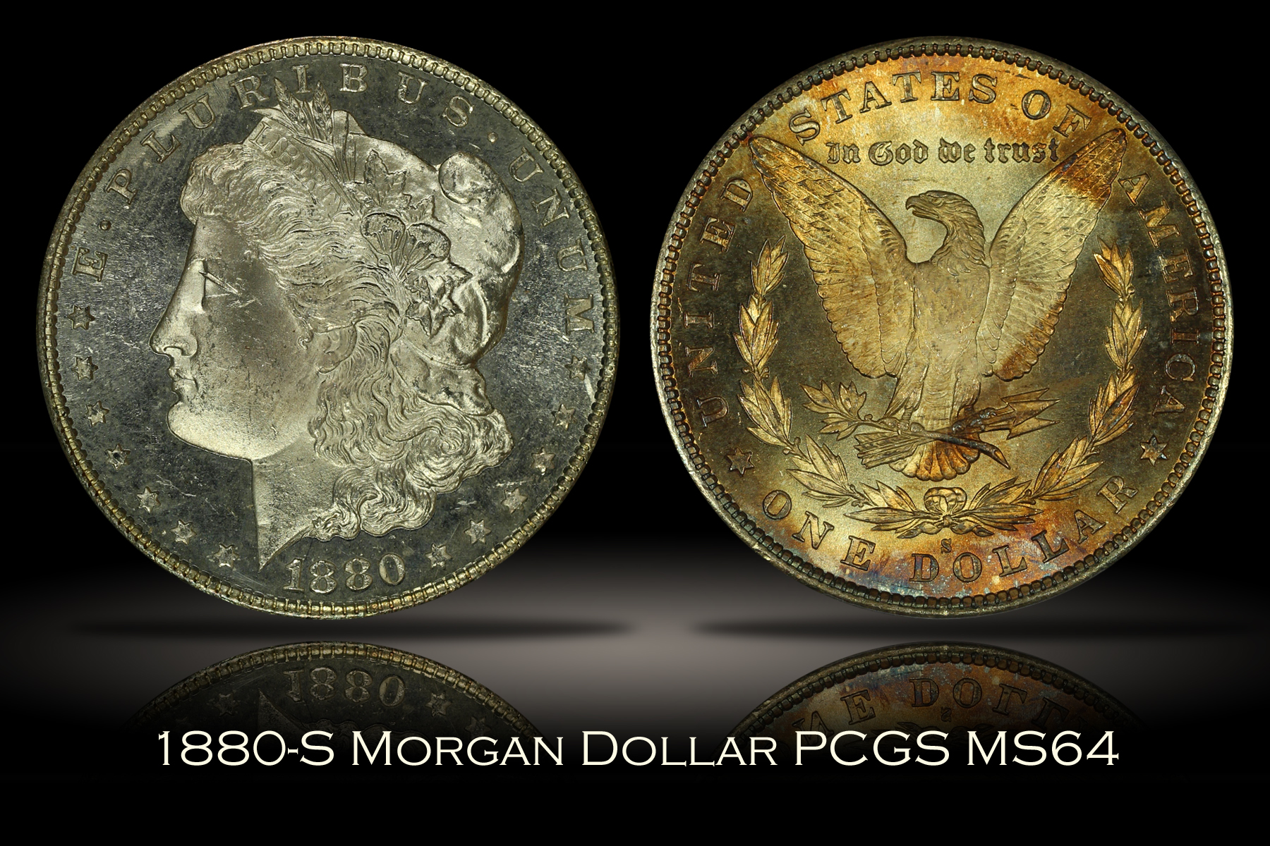 Michael Kittle Rare Coins - 1880-S Morgan Dollar PCGS MS64