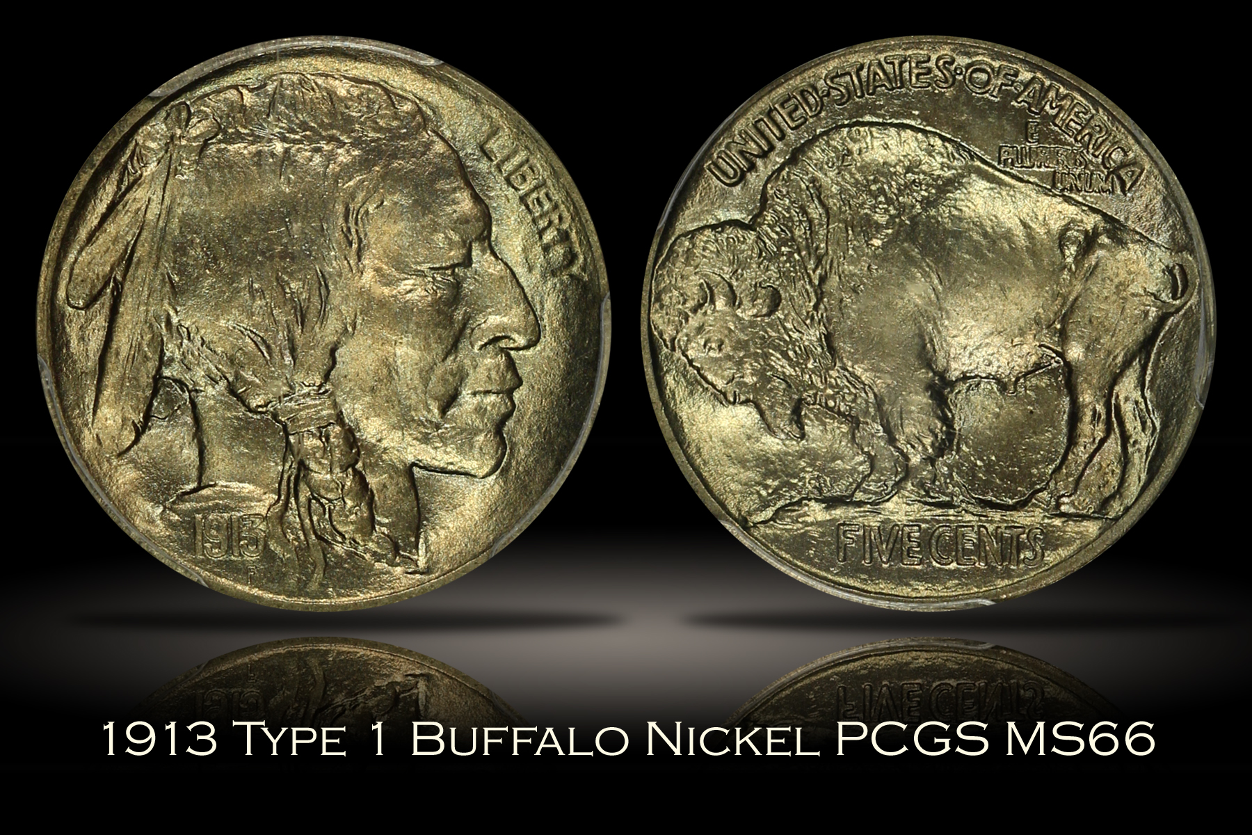 Michael Kittle Rare Coins 1913 Type One Buffalo Nickel Pcgs Ms66