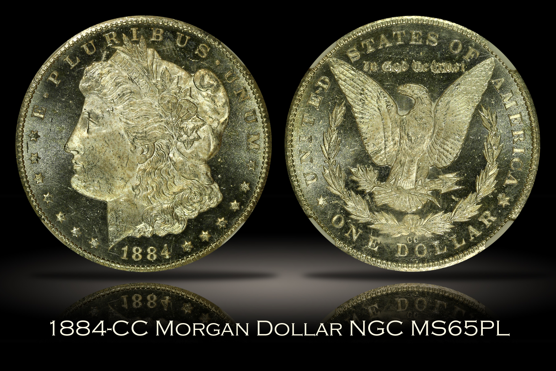 Michael Kittle Rare Coins - 1884-CC Morgan Dollar NGC MS65PL