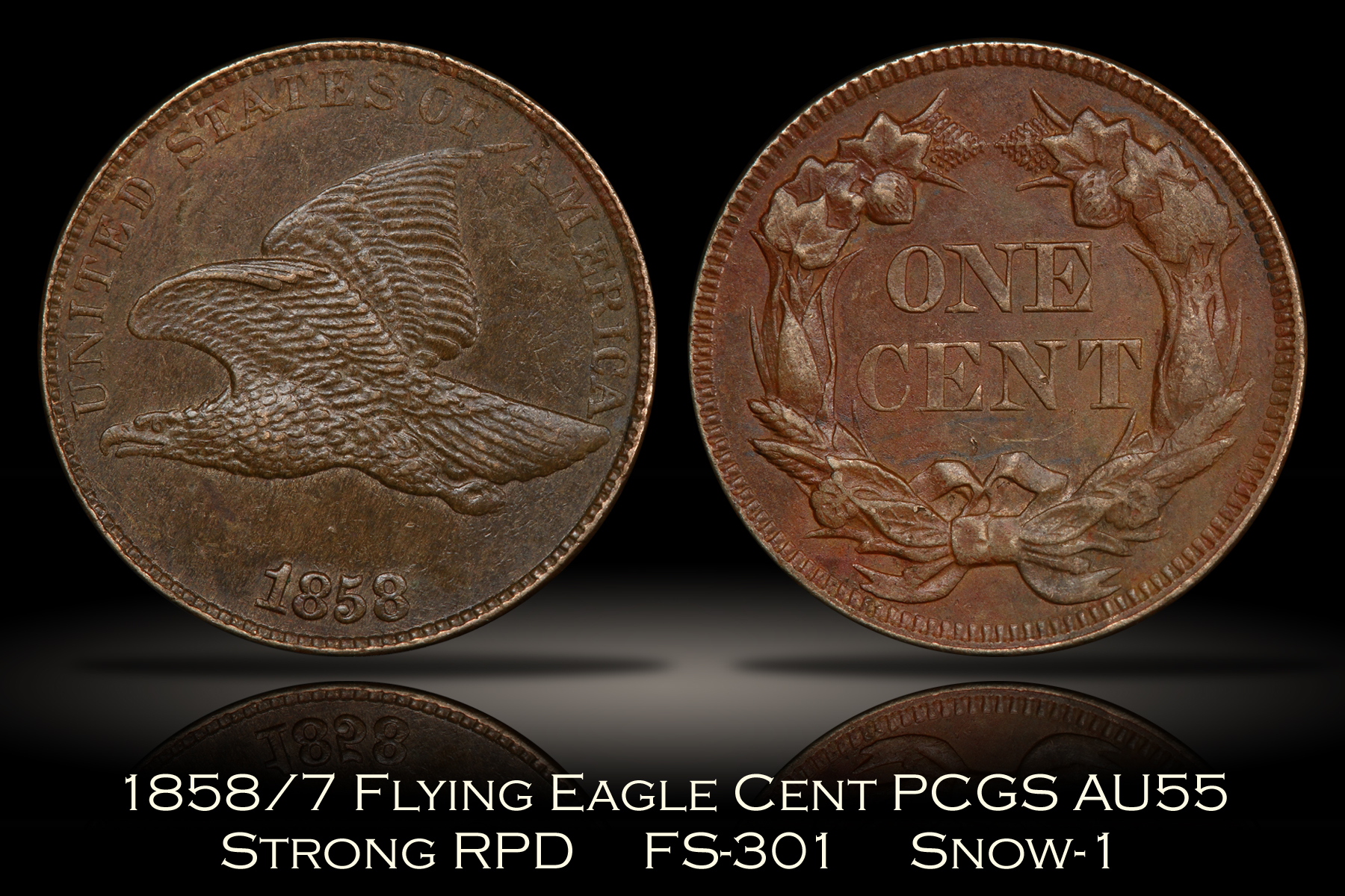 Michael Kittle Rare Coins - 1858/7 Flying Eagle Cent Strong Overdate FS