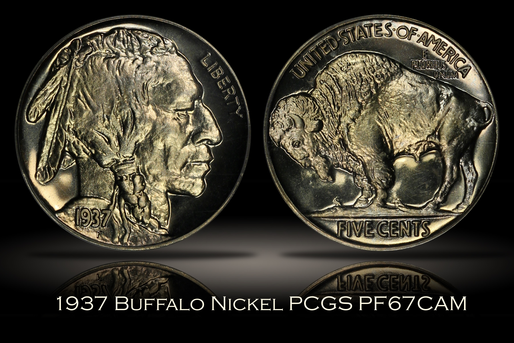 Michael Kittle Rare Coins - 1937 Proof Buffalo Nickel PCGS PR67CAM