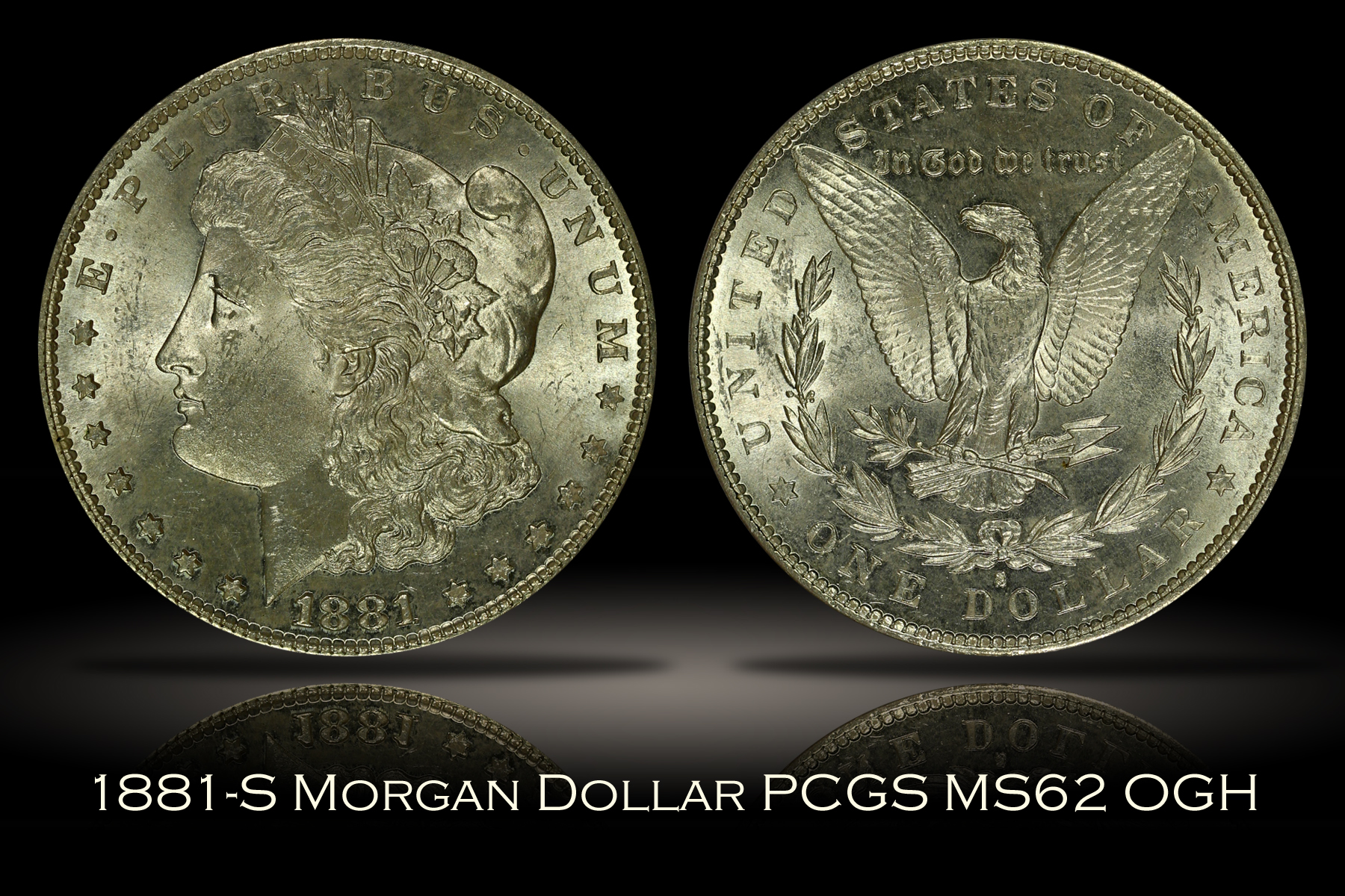 Michael Kittle Rare Coins - 1881-S Morgan Dollar PCGS MS62