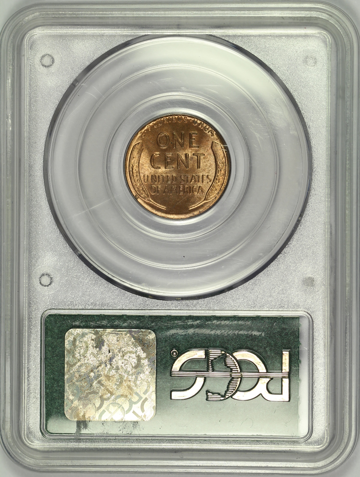 Holder Reverse Image